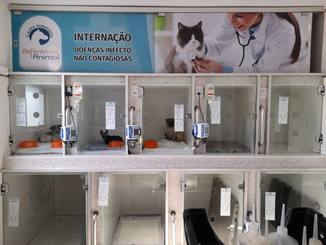 Área de internação e UTI do centro veterinário